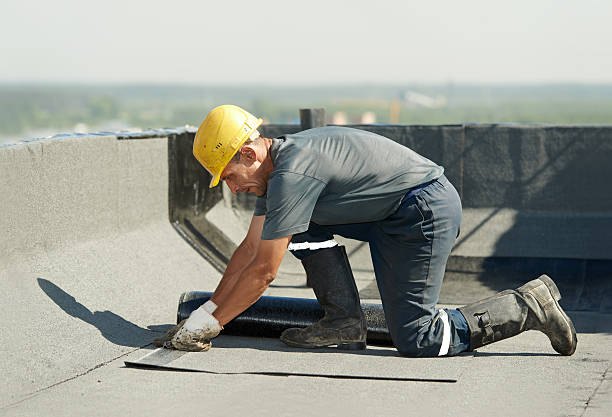 Best Commercial Insulation in Shillington, PA